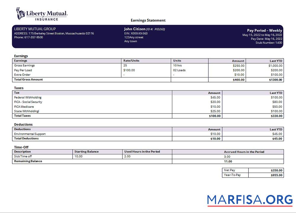 Realistic USA insurance earning statement version 2 real example